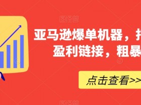 亚马逊爆单技巧：3步打造高利润链接，新手也能日赚1000+-54创业网