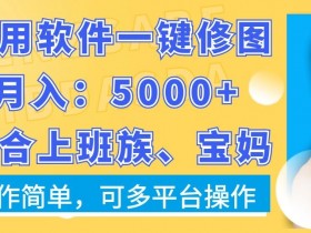 上班族宝妈必看：一键修图软件轻松月入5000+，多平台操作超简单【揭秘】-54创业网