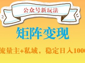 公众号私域引流变现：网盘拉新日赚1000的软件玩法大揭秘-54创业网