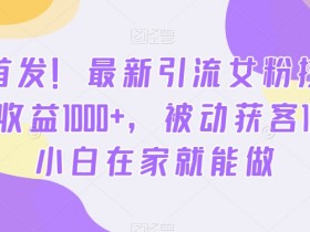 最新引流女粉技术：单日赚1000+被动收入，小白在家轻松操作【揭秘】-54创业网