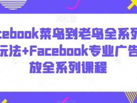 Facebook运营从入门到精通：广告投放全攻略+新手变高手教程-54创业网