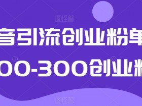抖音创业粉引流秘籍：单日轻松加100-300精准粉实操大揭秘-54创业网