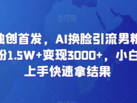 AI换脸引流秘籍：单日涨粉1.5W+变现3000+，小白轻松上手快速赚钱-54创业网
