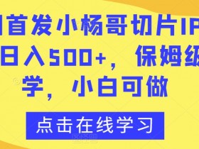 小杨哥切片IP3.0全网首发：日赚500+保姆级教程，小白轻松上手-54创业网