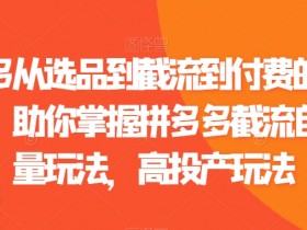 拼多多截流玩法：选品到付费高投产技巧，轻松获取自然流量-54创业网