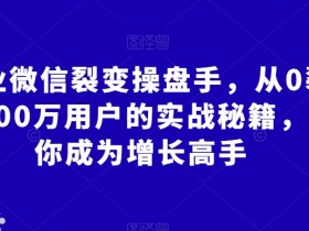 企业微信裂变操盘手：0到100万用户实战秘籍，快速成为增长高手-54创业网