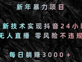新年暴力项目，最新技术实现抖音24小时无人直播，零风险不违规，每日躺赚3000＋【揭秘】-54创业网