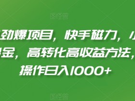 2024劲爆项目，快手磁力，小熊请上车撸金，高转化高收益方法，批量操作日入1000+【揭秘】-54创业网