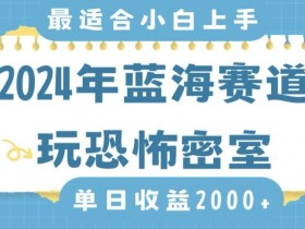 2024蓝海赛道恐怖密室赚钱攻略：日入2000+不露脸，零基础保姆教学大揭秘-54创业网