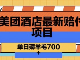 美团酒店赔付攻略：单日轻松赚700+羊毛技巧大揭秘-54创业网