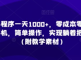 零成本手机赚钱：小程序日赚1000+实操教程（附素材）躺着赚钱攻略-54创业网