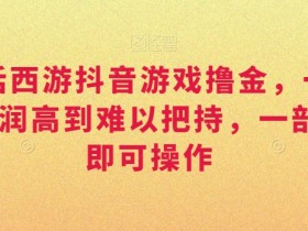大话西游抖音游戏赚钱攻略：一单30元日入3000+，手机操作暴利项目揭秘-54创业网