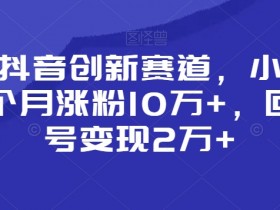 抖音创新赛道：小白1个月涨粉10万+，回收账号变现2万+实操揭秘-54创业网