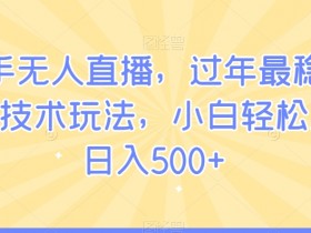 快手无人直播技术：过年最稳赚钱项目，小白轻松日入500+玩法揭秘-54创业网