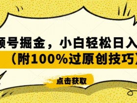 视频号赚钱秘籍：新手日入800+实战教程，100%原创技巧大公开！-54创业网