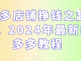 2024拼多多店铺赚钱教程：新手起店实操指南，快速盈利秘诀-54创业网