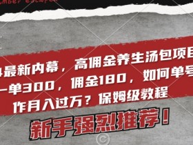 2024高佣金养生汤包项目揭秘：单号月入过万保姆教程，一单赚180实操内幕-54创业网