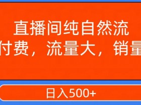 视频号直播间纯自然流玩法：0付费月入15000+的流量变现秘籍-54创业网