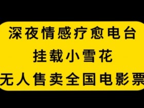 深夜情感电台疗愈孤独：小雪花无人售票全国电影票内幕大公开-54创业网