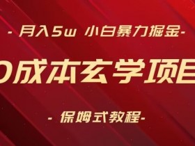 月入5w+小白暴力掘金：0成本玄学项目教程+软件保姆式教学-54创业网