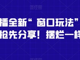 影视直播窗口玩法揭秘：特殊赛道轻松赚钱，摆烂也能赚！-54创业网