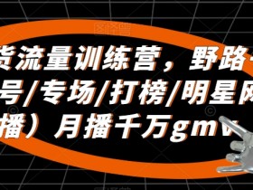 野路子主播训练营：直播带货起新号/专场打榜/明星网红助播，月播千万GMV实战秘籍-54创业网