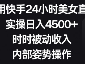 快手美女直播24小时日赚4500：被动收入实操全揭秘-54创业网