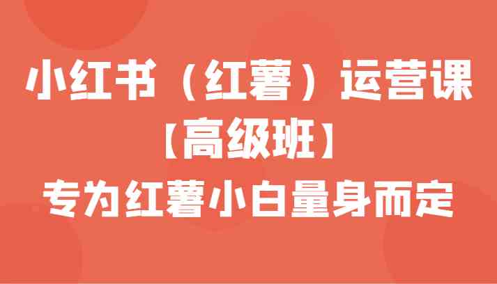 小红书运营课42节高级班：零基础小白速成红薯爆款技巧-54创业网