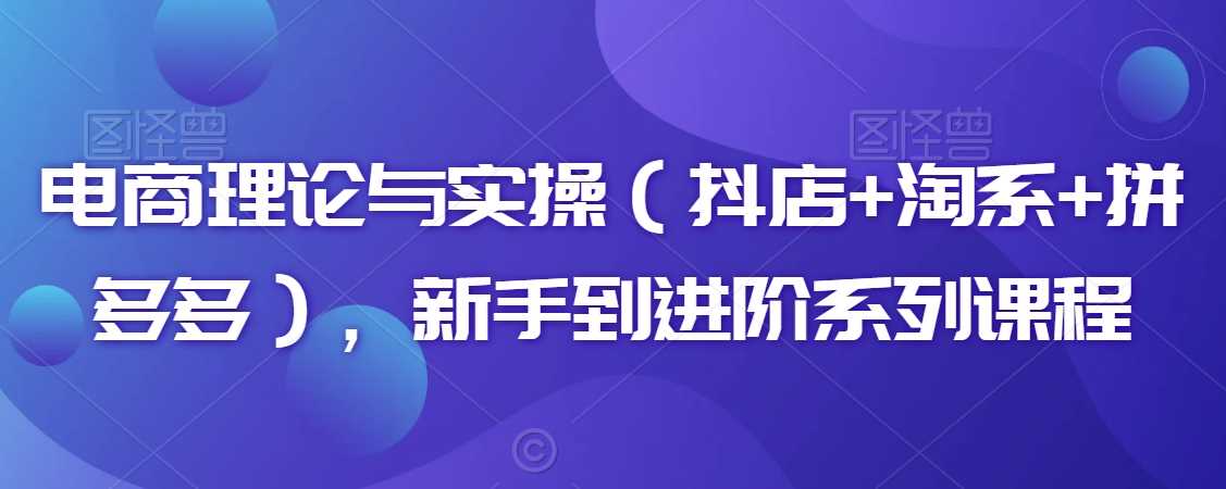 电商理论与实操(抖店+淘系+拼多多),新手到进阶系列课程