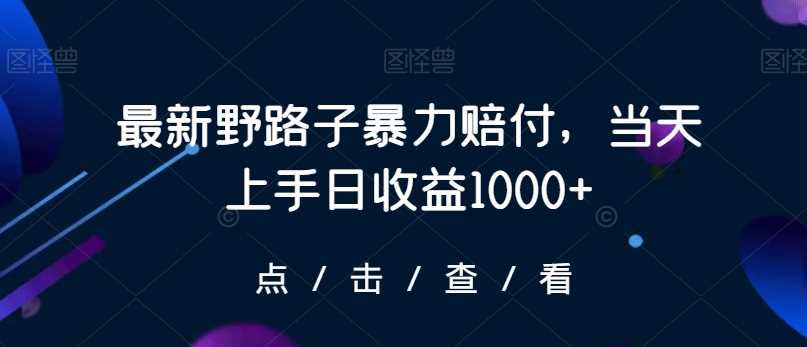 最新野路子暴力赔付，当天上手日收益1000+【仅揭秘】-54创业网