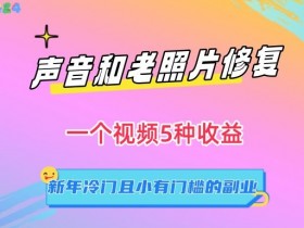 声音和老照片修复，一个视频5种收益，新年冷门且小有门槛的副业【揭秘】-54创业网