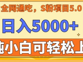 男粉项目5.0，最新野路子，纯小白可操作，有手就行，无脑照抄，纯保姆教学【揭秘】-54创业网