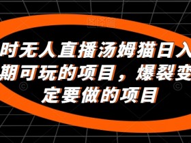 24小时无人直播汤姆猫赚钱项目：日入2000+长期稳定变现玩法大揭秘-54创业网