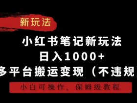 小红书搬运变现教程：日入1000+新玩法，不违规多平台操作，保姆级教学-54创业网