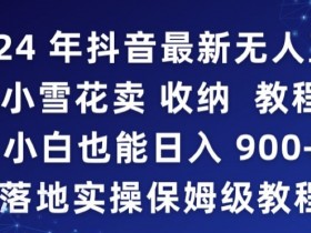 2024抖音无人直播卖收纳日入900+：小雪花保姆级教程揭秘，小白轻松上手-54创业网