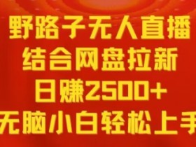 野路子无人直播+网盘拉新日赚2500：小白轻松上手赚钱秘籍-54创业网