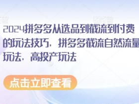 2024拼多多截流玩法：选品到付费高投产技巧，自然流量获取实战-54创业网
