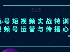 视频号运营秘籍：短视频实战特训营，3天掌握爆款传播心法-54创业网