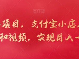 新蓝海项目，支付宝小店，搬运商品和视频，实现月入一万+【揭秘】-54创业网