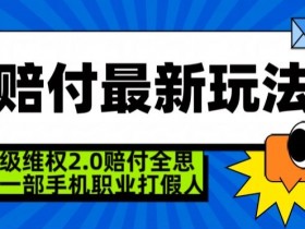 超级维权2.0全新玩法，2024赔付全思路职业打假一部手机搞定【仅揭秘】-54创业网