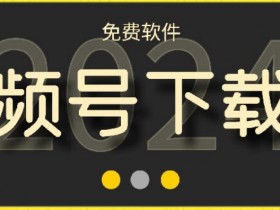 视频号高清免费下载器：支持Windows+Mac双系统，全平台资源一键下载-54创业网