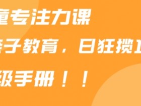 靠儿童专注力课程售卖亲子育儿课程，日暴力狂揽1000+，喂饭手册分享【揭秘】-54创业网
