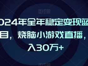 2024年蓝海项目揭秘：烧脑小游戏直播稳定变现，月入30万+-54创业网
