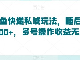 闲鱼快递赚钱秘籍：私域玩法轻松月入500+，多号操作收益翻倍-54创业网
