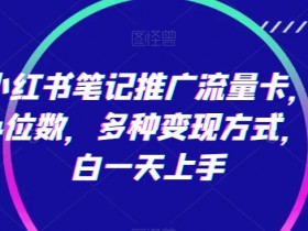 小红书流量卡推广日赚4位数：0基础小白1天上手，5种变现玩法-54创业网