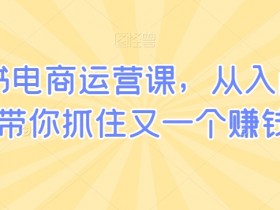 小红书电商运营课：0基础入门到精通，抓住电商赚钱新风口-54创业网