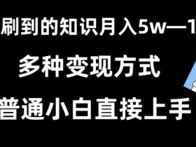 抖音赚钱秘籍：每天2小时轻松日入2000+，小白也能暴力变现！-54创业网