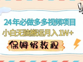 人人都能操作的蓝海多多视频带货项目，小白无脑搬运月入10000+【揭秘】-54创业网