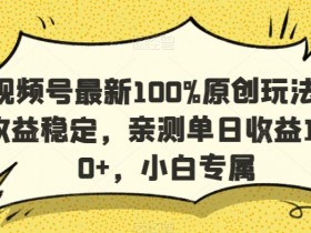 视频号原创玩法：单日收益1000+，小白轻松上手，100%稳定赚钱秘诀-54创业网