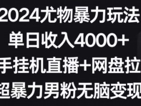 2024快手直播暴力玩法：单日赚4000+，男粉无脑变现，网盘拉新自动躺赚【揭秘】-54创业网